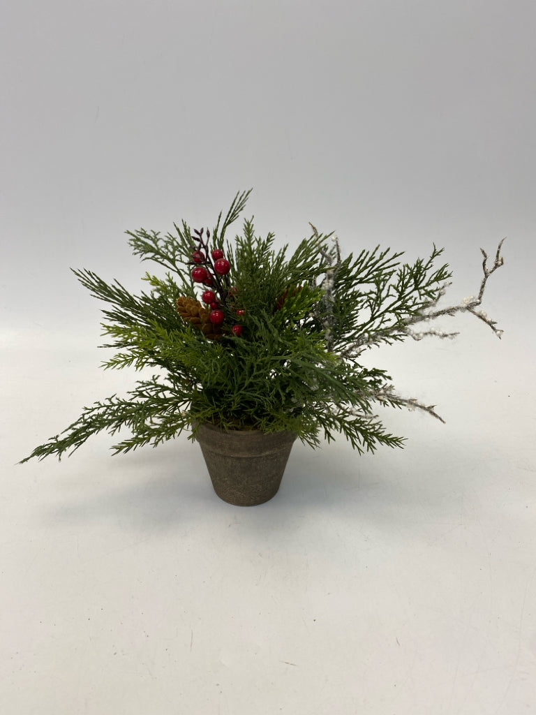 Green Red Christmas