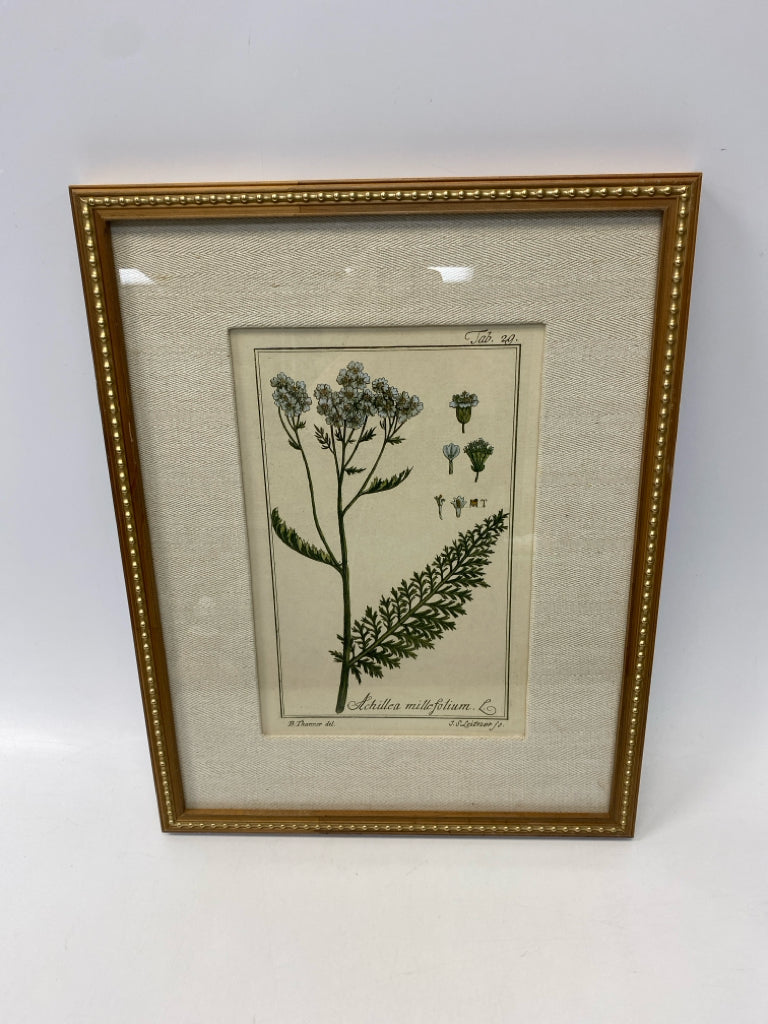 Uttermost Green/Cream Assorted Print Framed Art