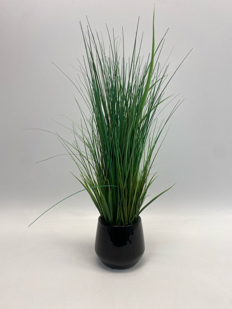 Green Black Silk Plant