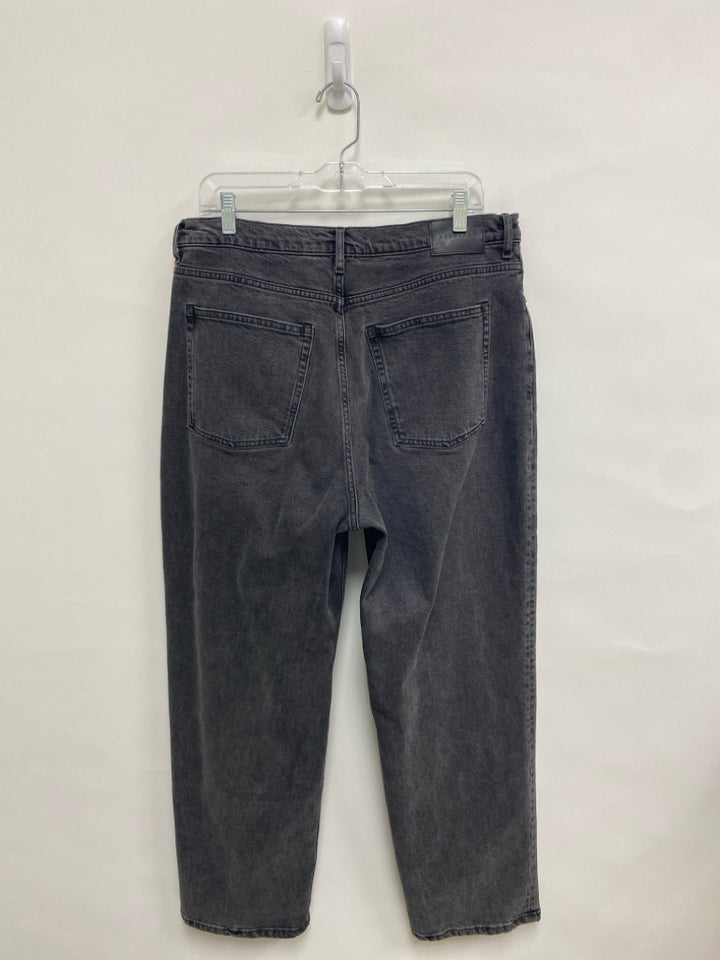 Everlane Size 33 Gray Denim Ladies Jeans