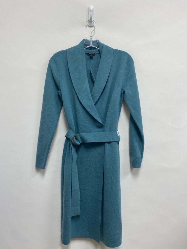 NWT Ann Taylor Size SP Blue Long Sleeve Petite Dress