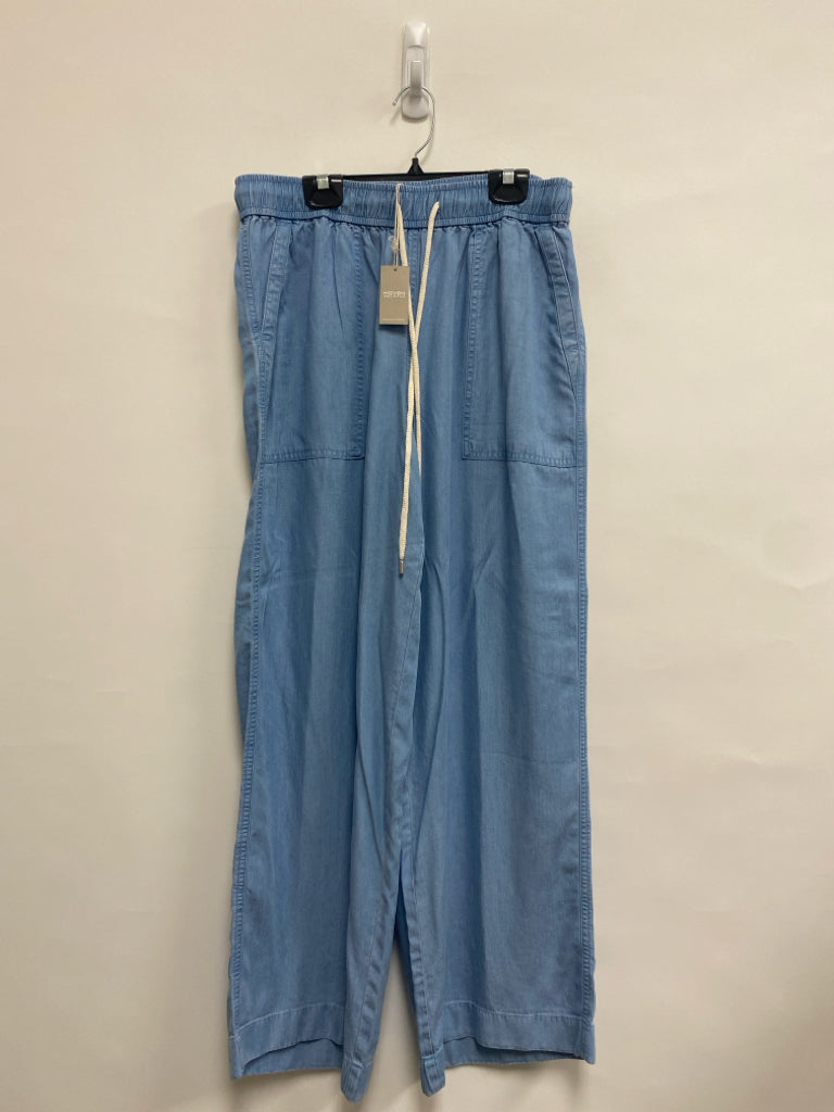NWT HAVEN Size M Light Blue Pull-on Chambray Ladies Pants