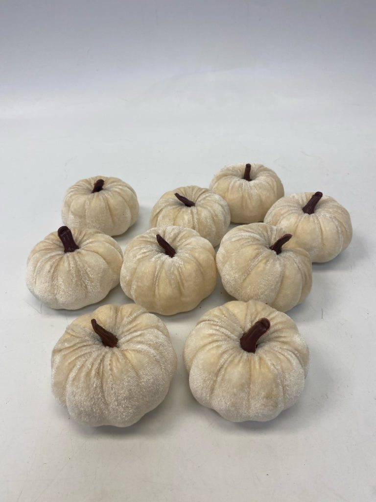 Cream Velvet Fall