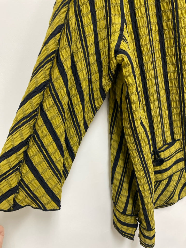 Ali Miles  SIZE  2X Green Black Striped Plus Size Top