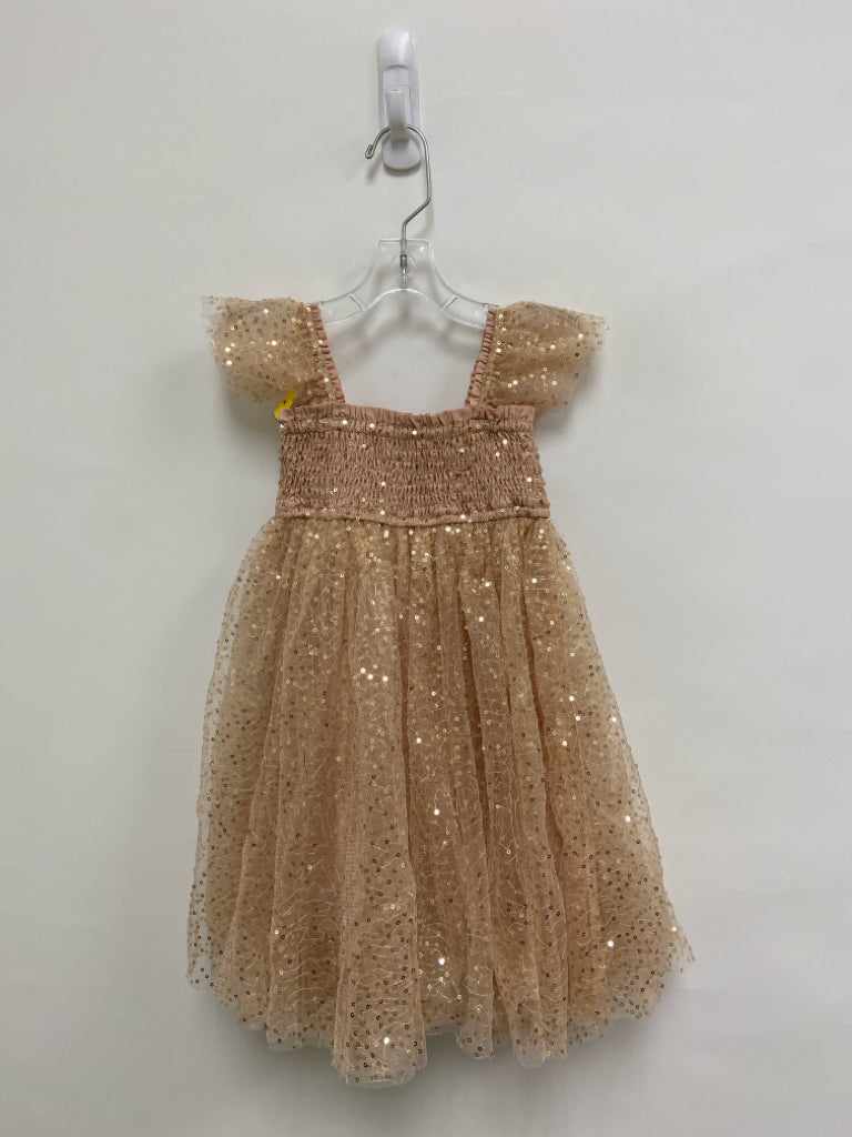 SIZE 4T Dusty Pink Gold Sequined Sleeveless Tulle Girl&