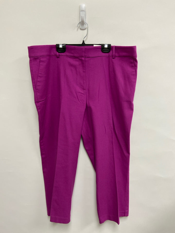 NWT LOFT  SIZE  16P Violet Plus Size Pants