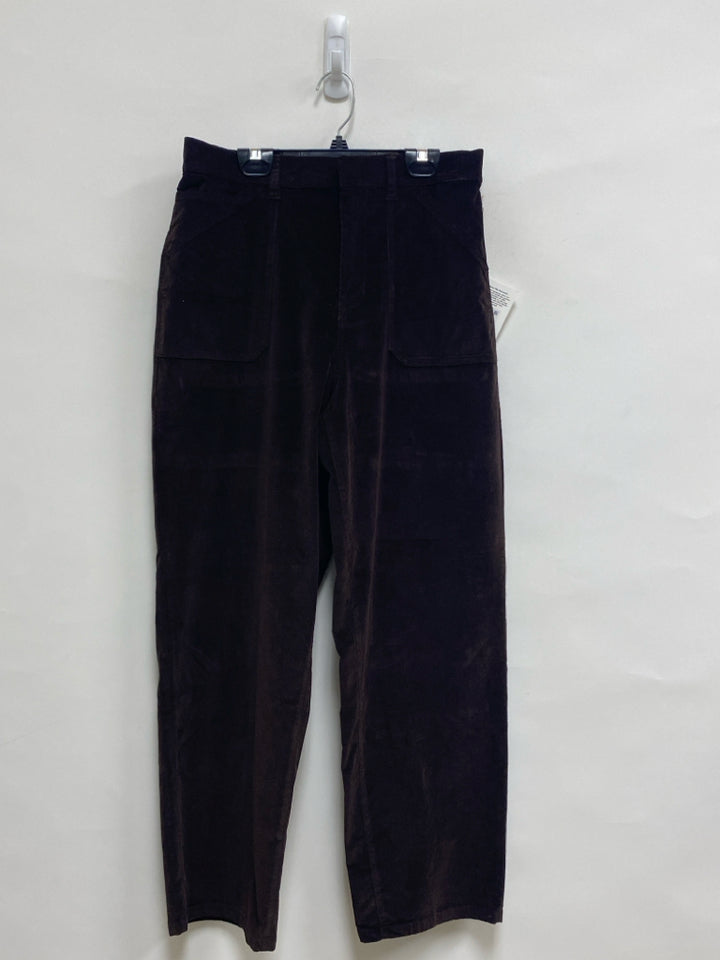 NWT Splendid Size S Espresso Cropped Velour Ladies Pants