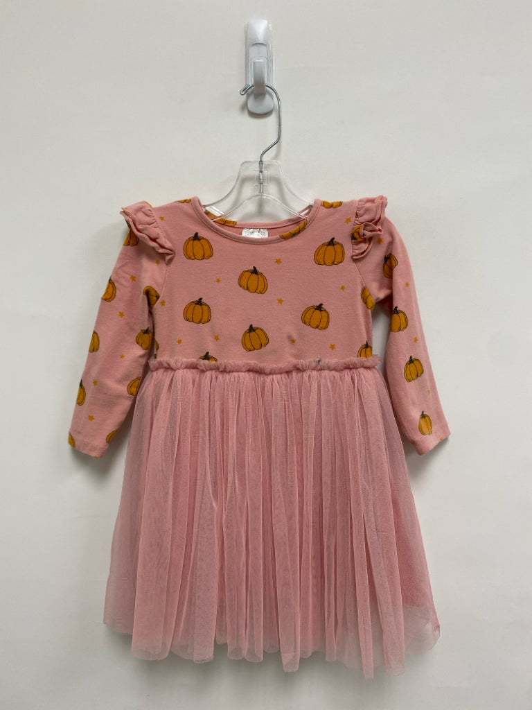 SIZE 4T Dusty Pink Orange Pumpkin Long Sleeve Tulle Girl&