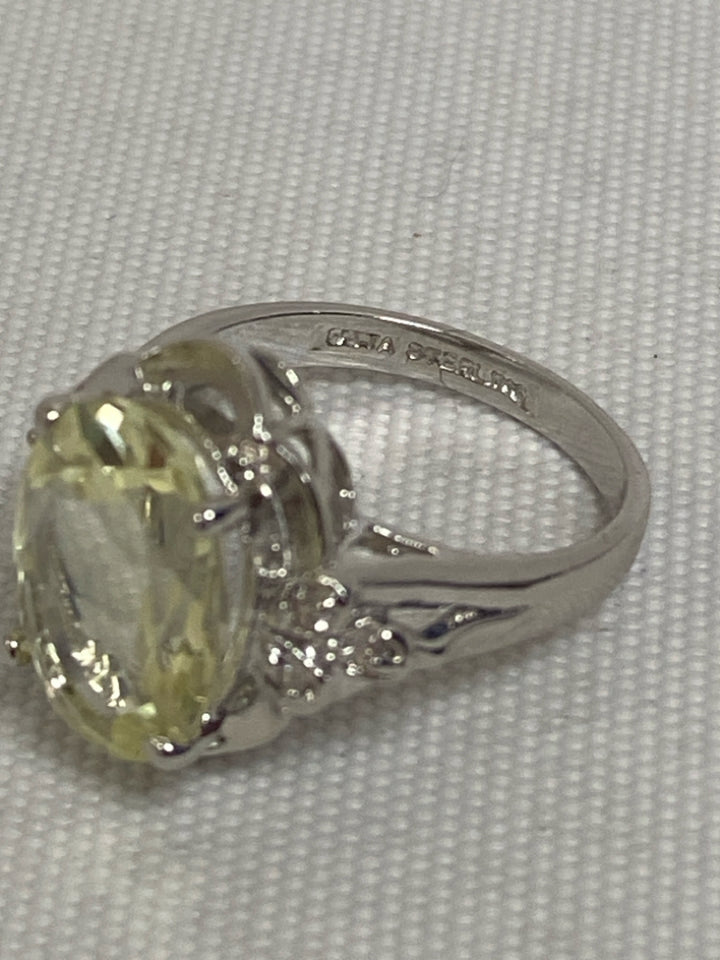 Sage Silver Oval(s) Ring