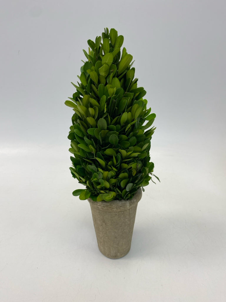 Green Gray Ceramic Silk Plant