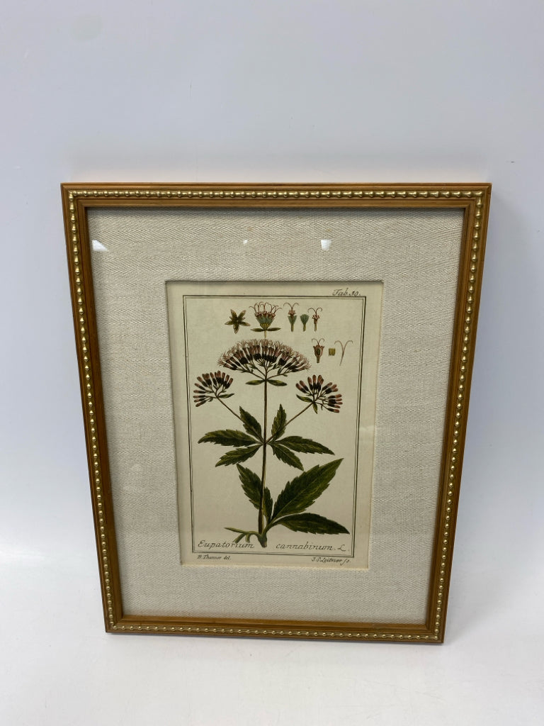 Uttermost Green/Cream Assorted Print Framed Art