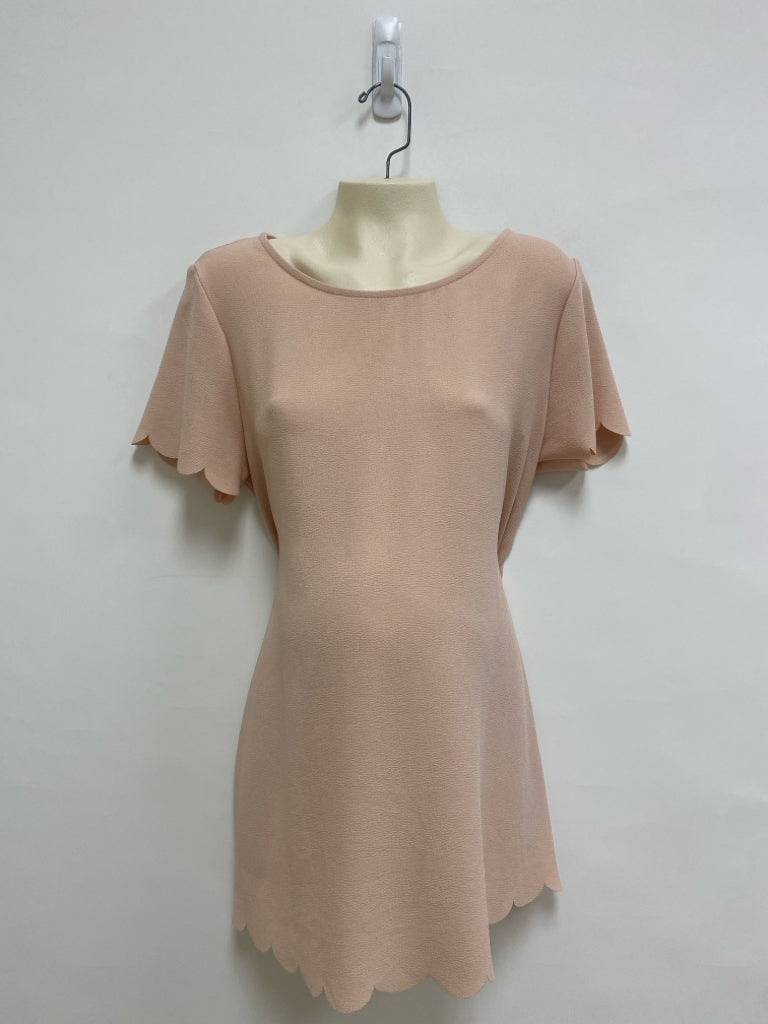 PINK BLUSH Size M Dusty Coral Texture Maternity Top