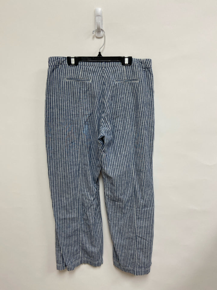 Sundance Size 10P Blue/White Stripes Petite Pants