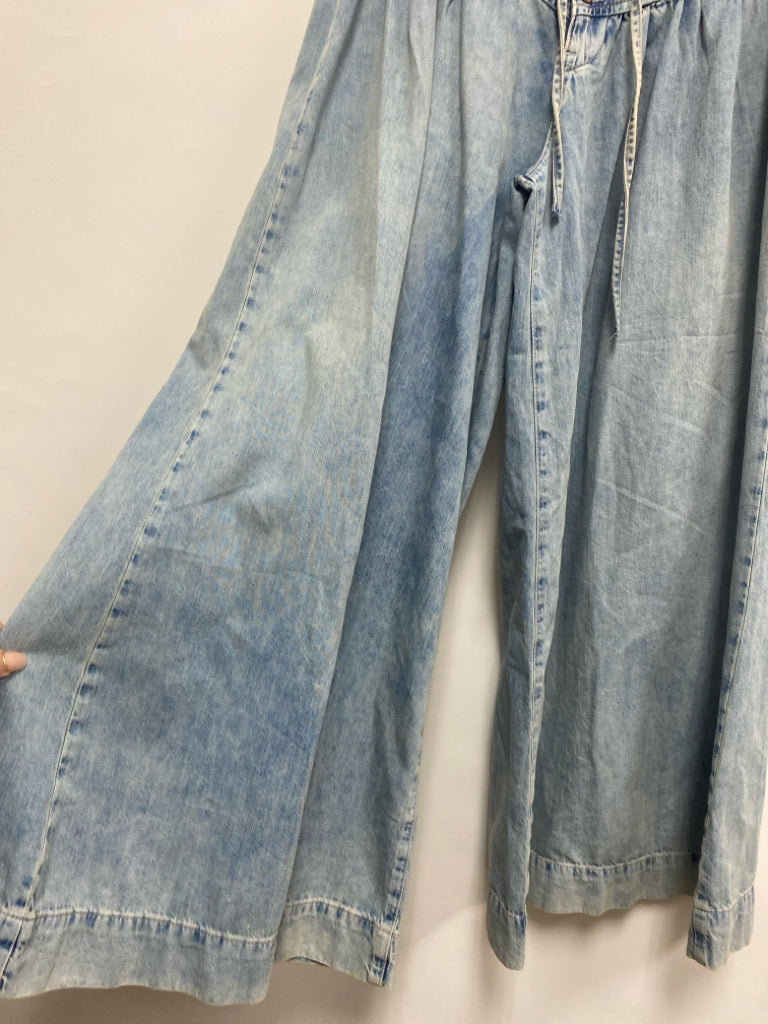 NWT We The Free Size S Dusty Pale Blue Pleated Wide Leg Ladies Jeans