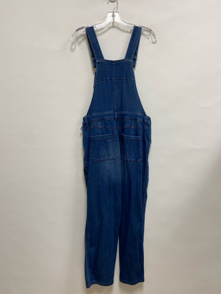 Pilcro Size 28 Blue Denim Ladies Overalls