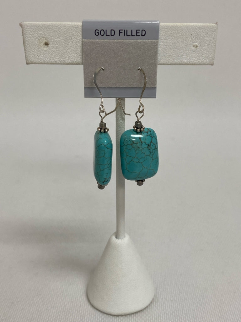 NWT Turquoise Silver Stones Earrings