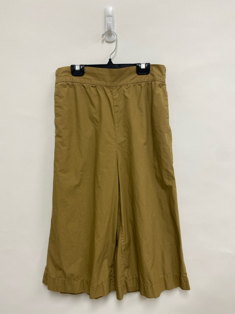 Madewell Size M Brown Ladies Pants