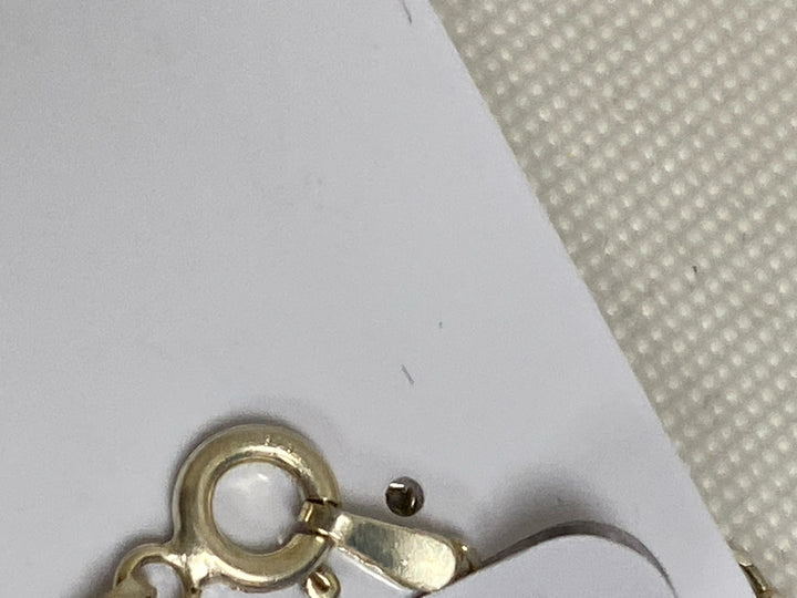 NWT Silver Chain Necklace