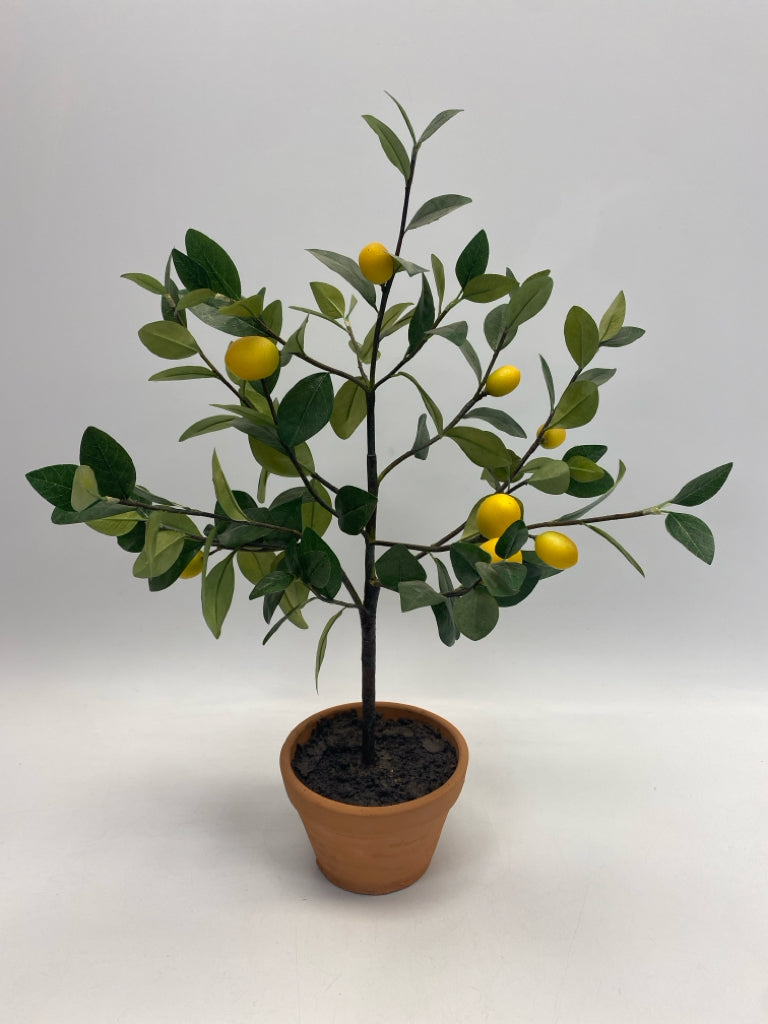 Green Yellow Silk Plant