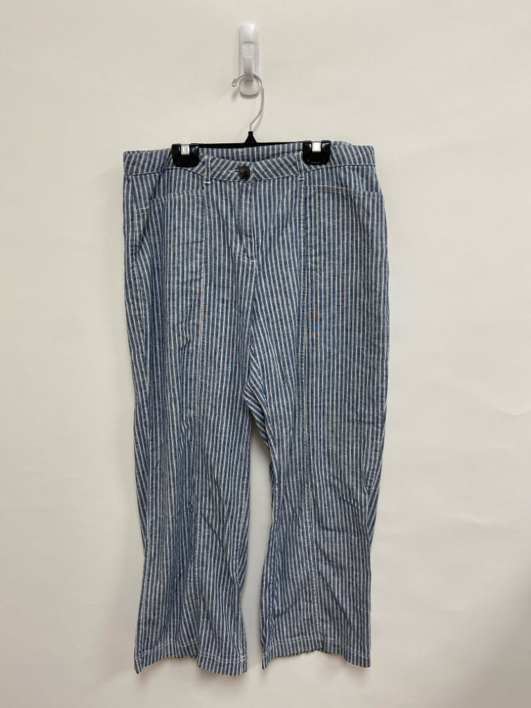 Sundance Size 10P Blue/White Stripes Petite Pants