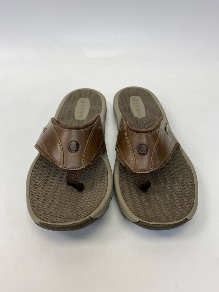 Sperry Size 14 Brown Men&