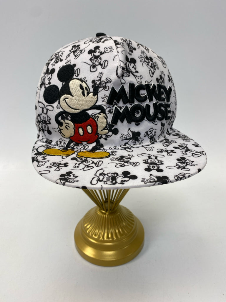 Disney Baseball Hat
