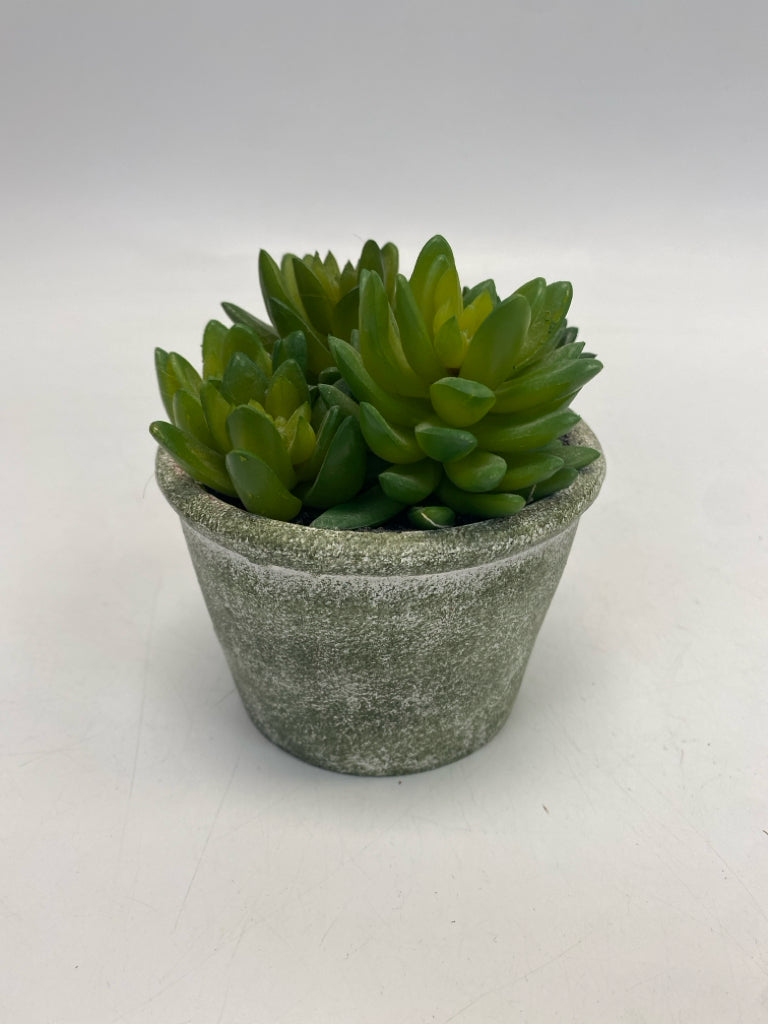 Green Mottled Silk Plant