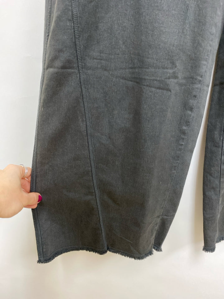 Aerie Size M Charcoal Wide Leg Ladies Pants
