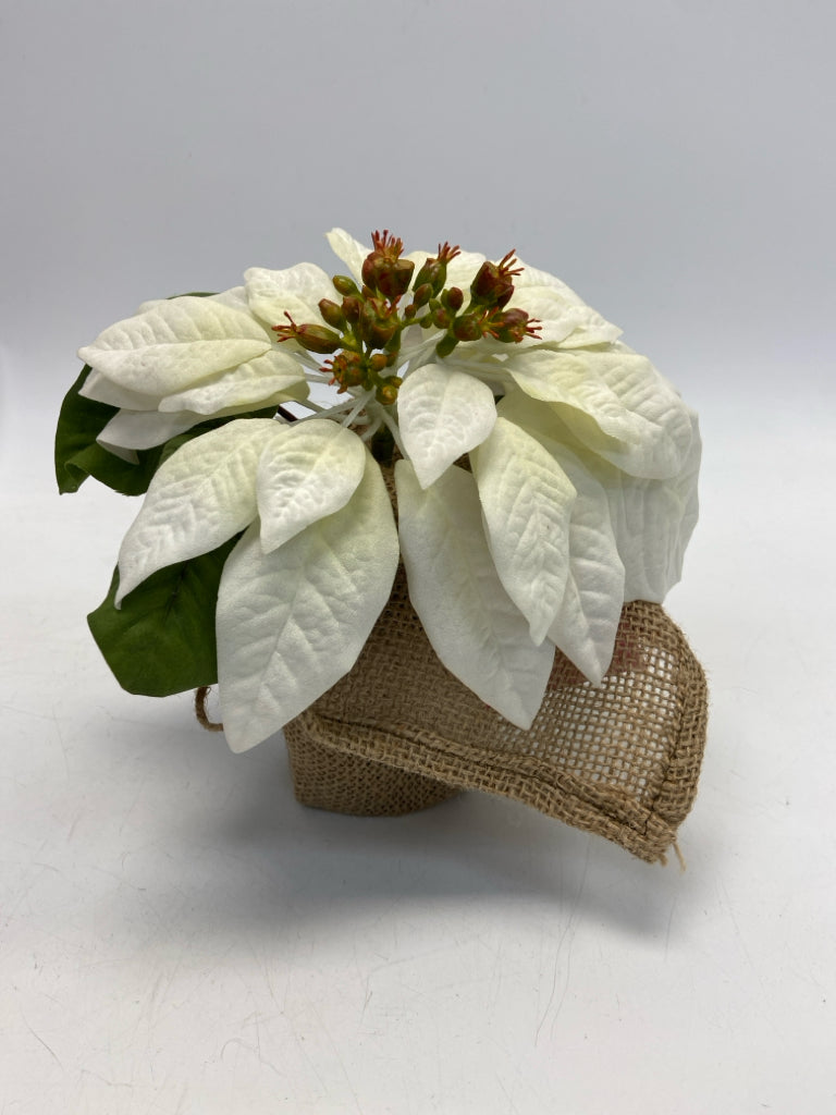 White Brown Christmas