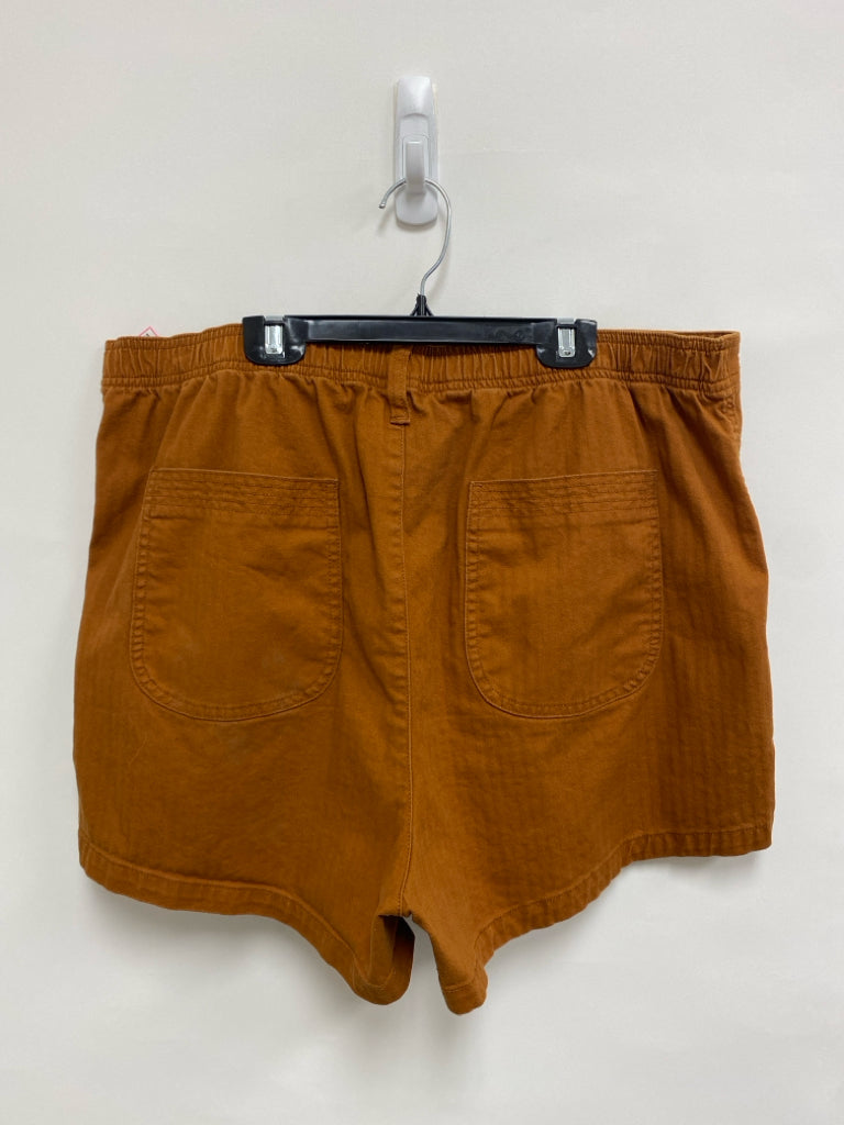 Madewell Size XL Caramel Ladies Shorts