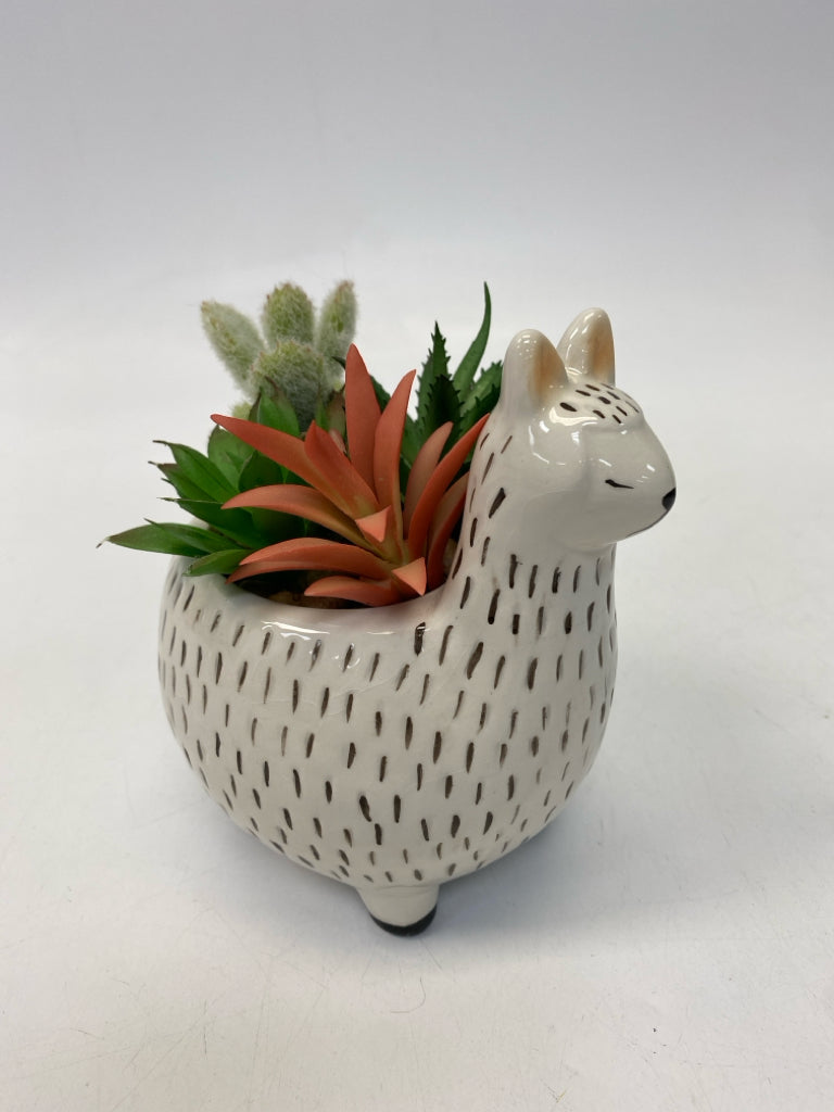 White Black Llama Silk Plant