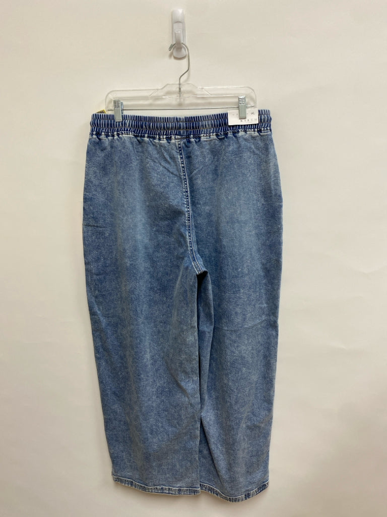 NWT RISEN Size XL Faded Blue Pull-on Ladies Jeans