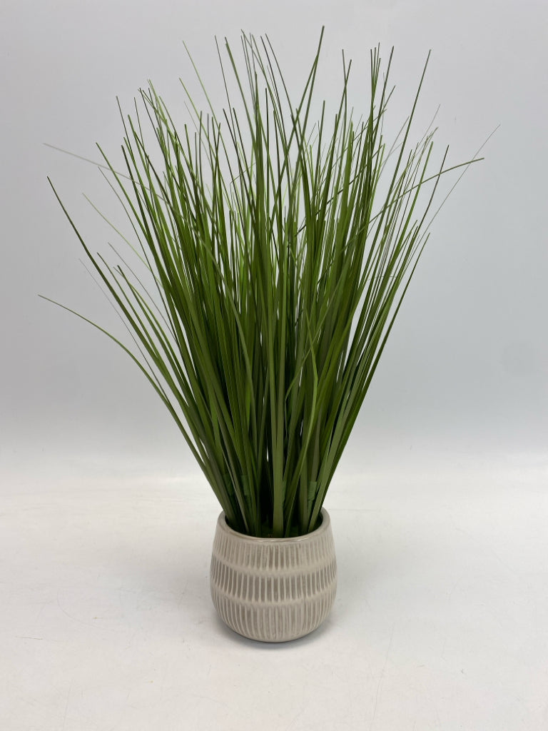 Green Cream Silk Plant