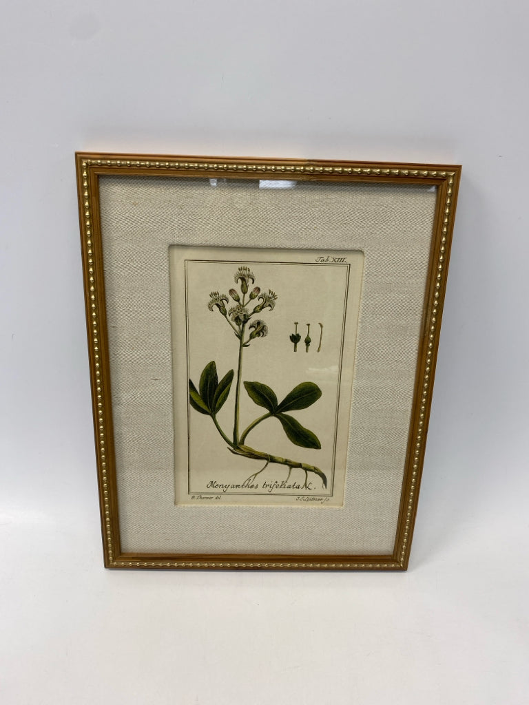 Uttermost Green/Cream Assorted Print Framed Art