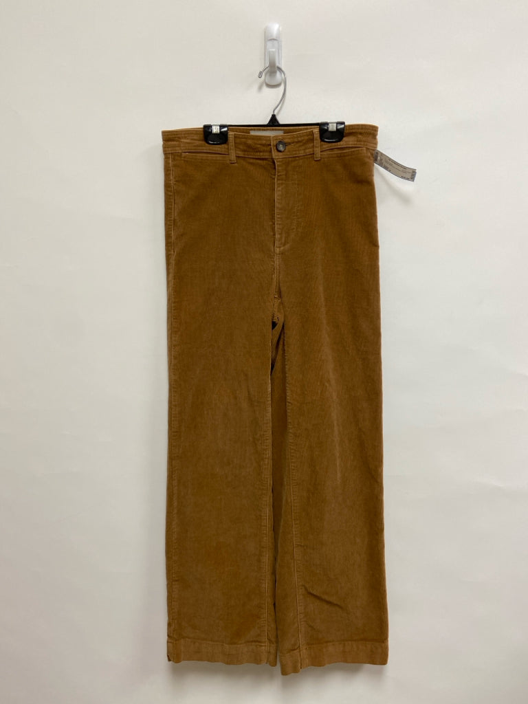 Everlane Size 6 Camel Wide Leg Corduroy Ladies Pants