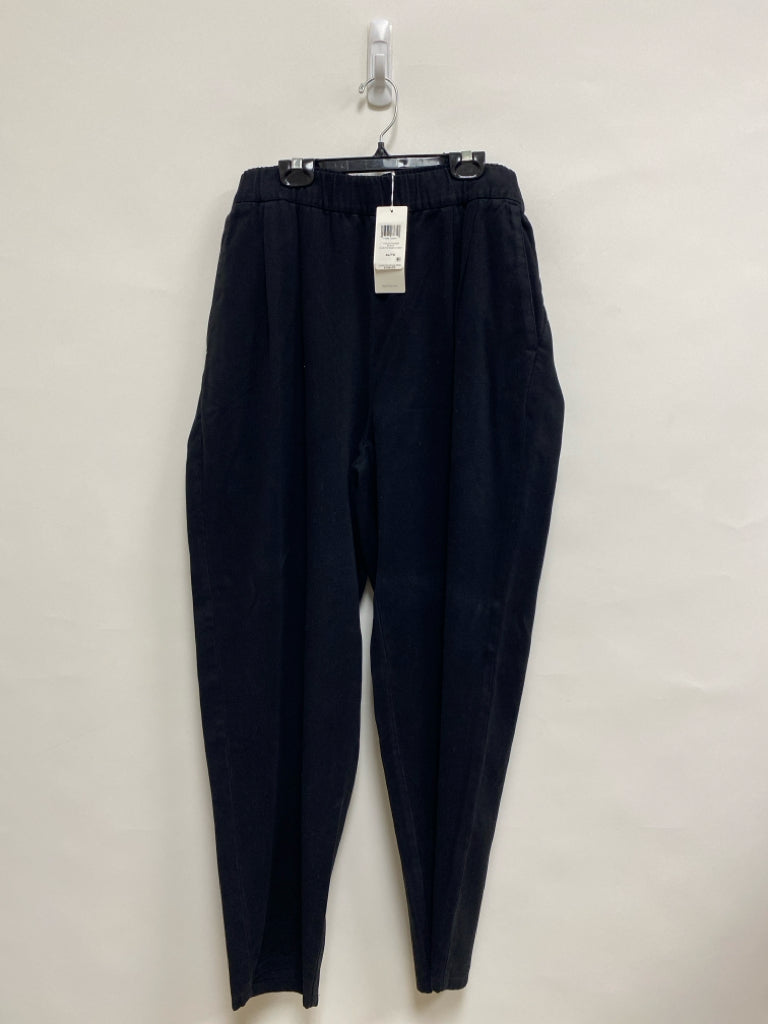 NWT Eileen Fisher Size XL Black Pleated Tencel Ladies Pants
