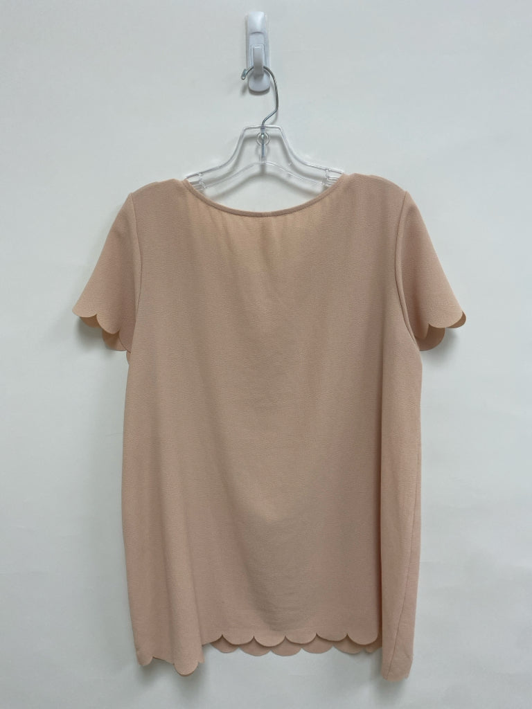 PINK BLUSH Size M Dusty Coral Texture Maternity Top