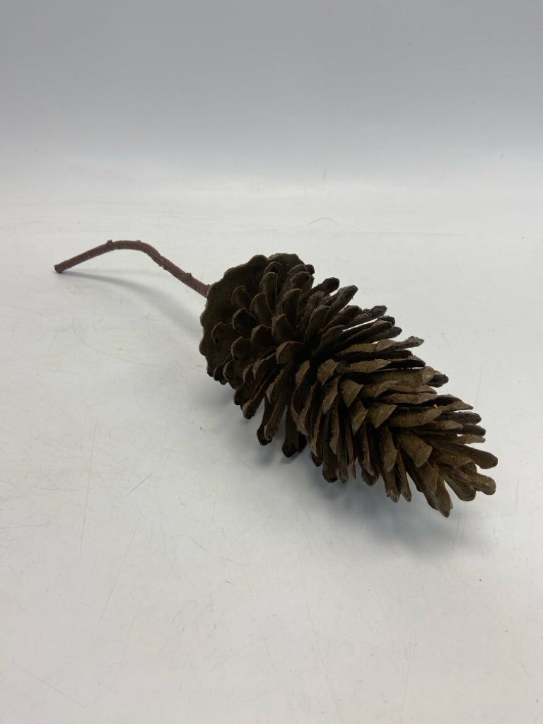 Brown Fall