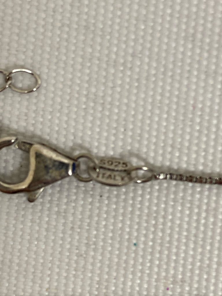 NWT Silver Chain Necklace
