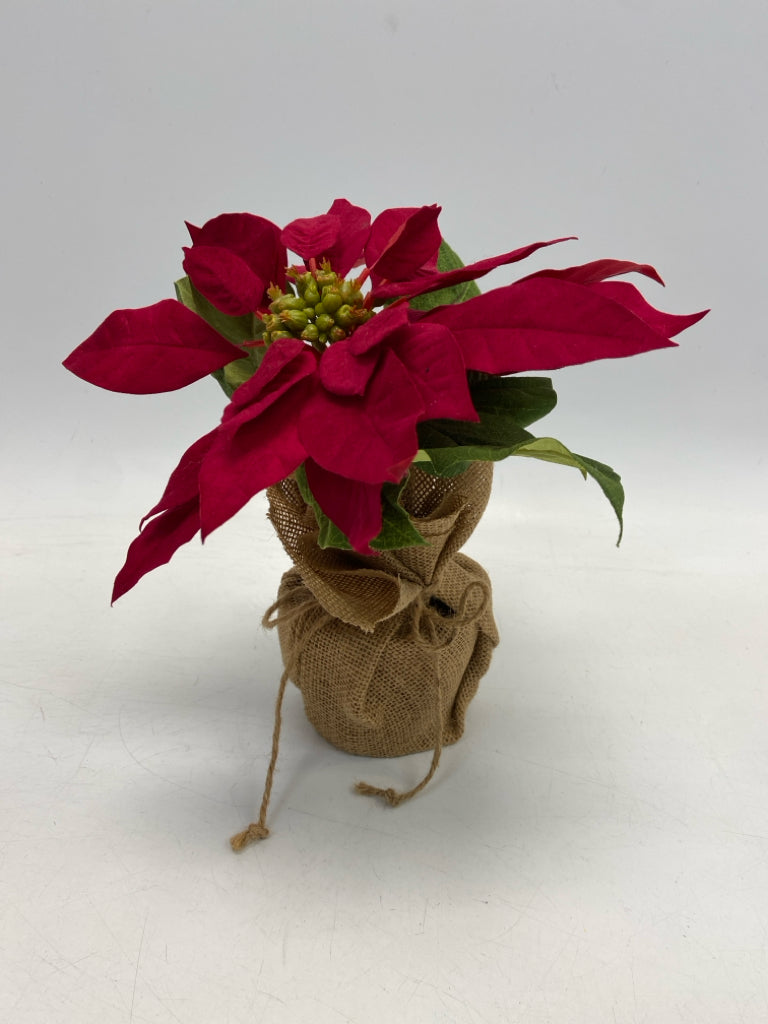 Pottery Barn Red Brown Christmas