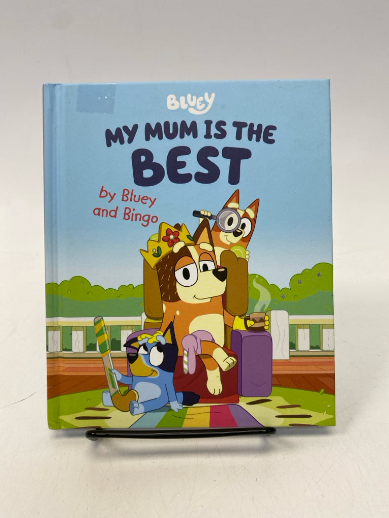 Bluey Kids Books