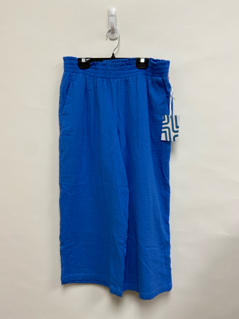 NWT market &amp; spruce Size M Blue Gauze Ladies Pants