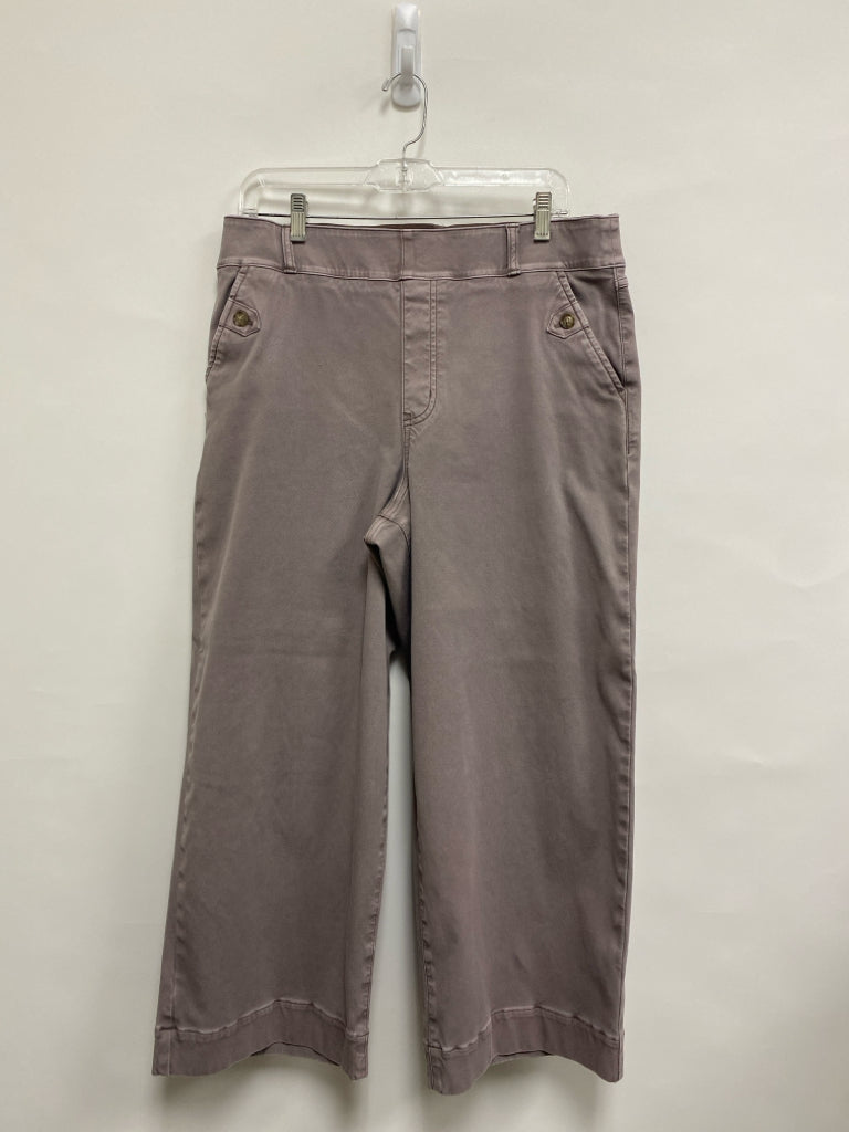 Spanx  SIZE  1X Taupe Pull-on Plus Size Pants