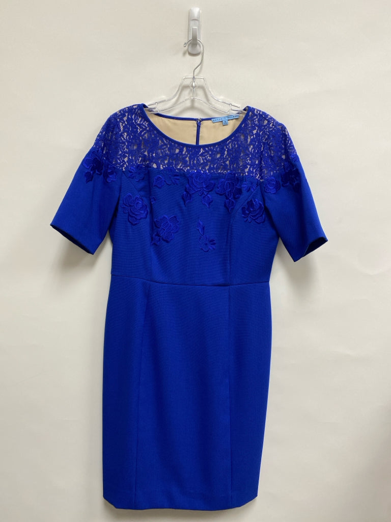 Antonio Melani Size 10 Royal Blue Lace Short Sleeve Ladies Dress