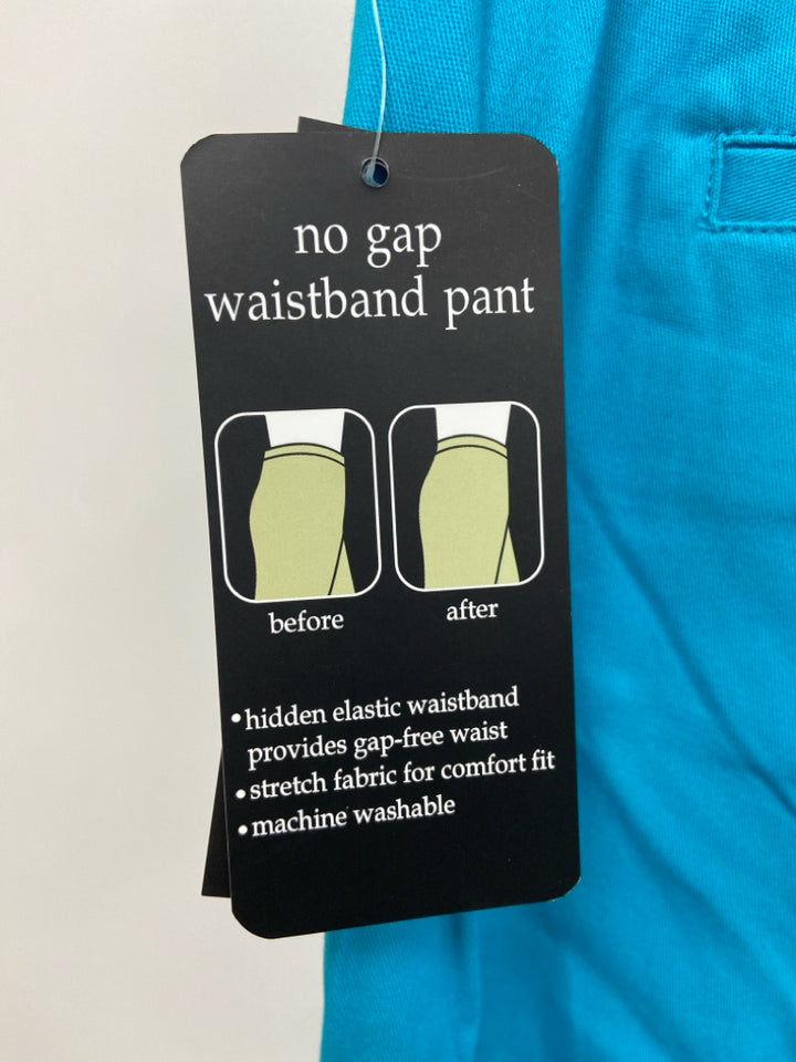 NWT Counterparts  SIZE  16 Turquoise Plus Size Shorts