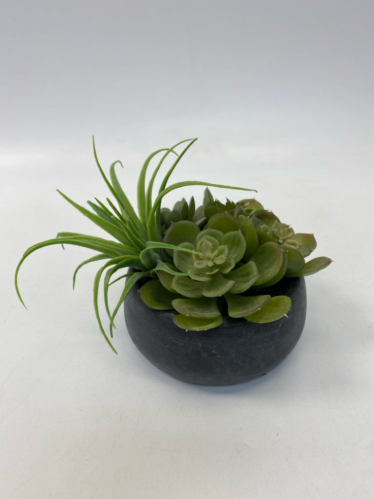 Black Green Silk Plant