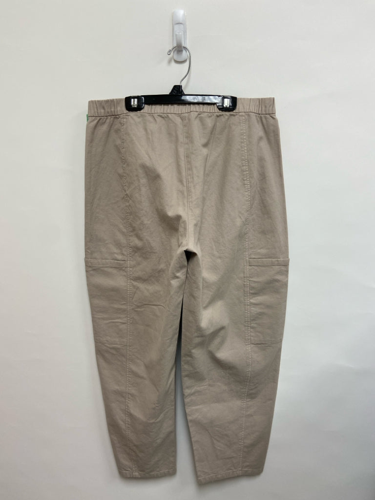 NWT Eileen Fisher Size M Beige Ladies Pants