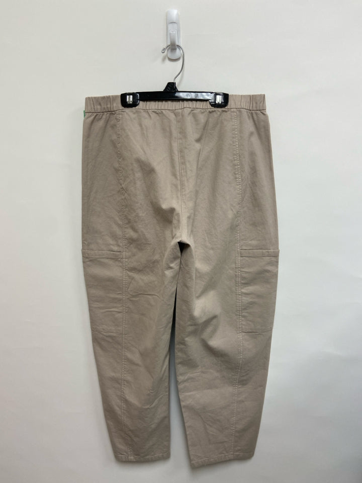 NWT Eileen Fisher Size M Beige Ladies Pants