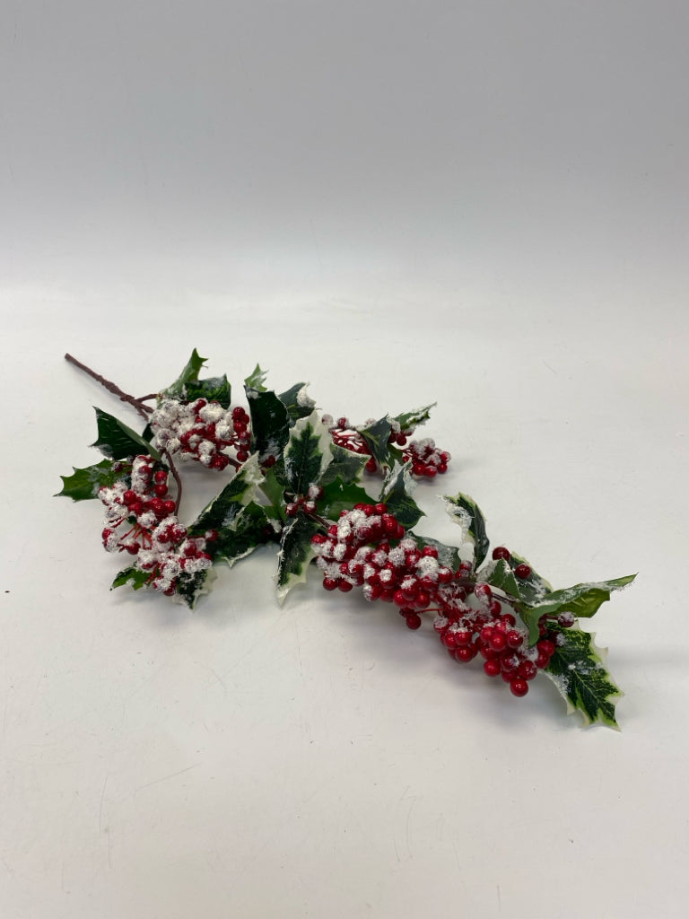 Green Red Holly Berries Christmas