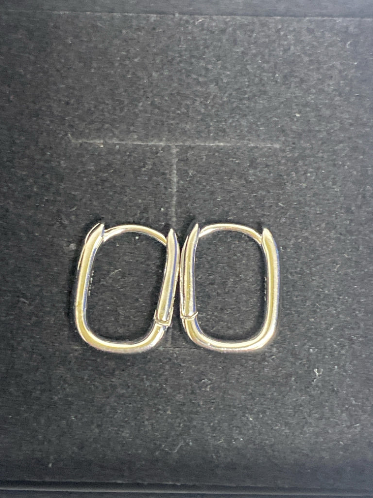 Silver Oval(s) Earrings
